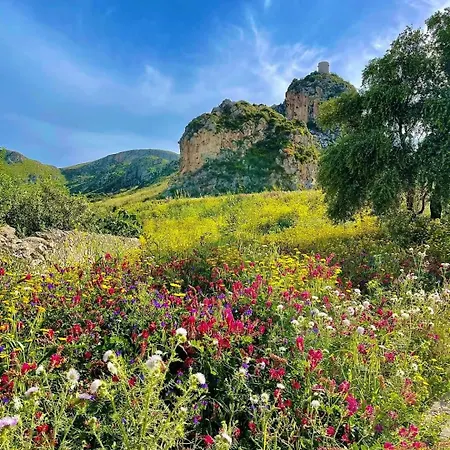 Casa Il Sole Casevacanze Daniele Furco Dom wakacyjny